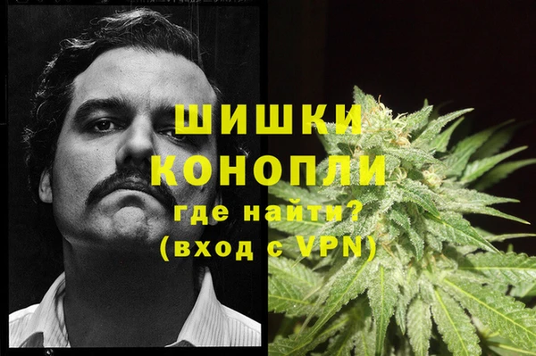 соль ск Бородино
