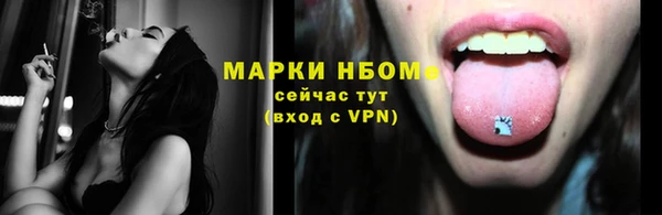 соль ск Бородино