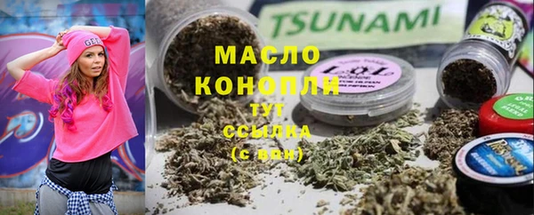 стаф Богородск