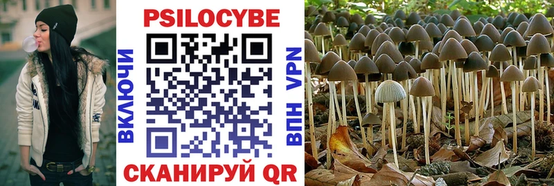 omg ссылки  Кондрово  Псилоцибиновые грибы Psilocybine cubensis  где продают наркотики 